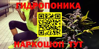 ALPHA PVP Моздок